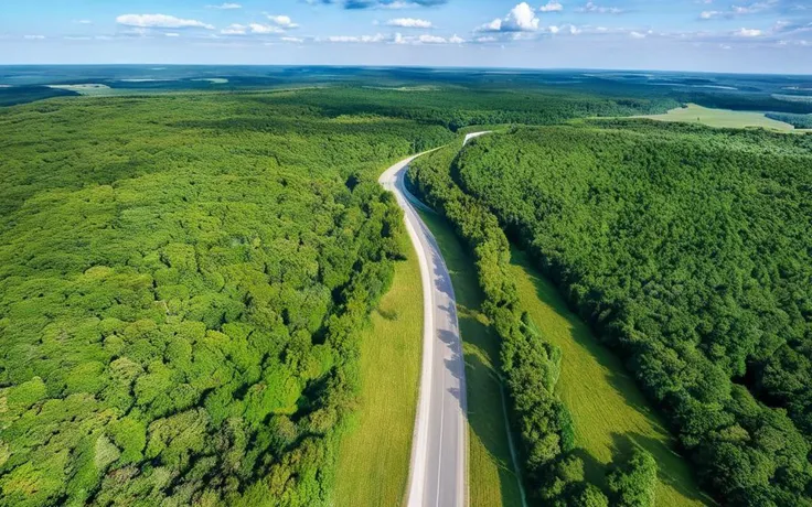 Landscape Photography, an aerial view of a road through a forest best quality, high quality, masterpiece, 8K UHD, highly detailed, ultra detailed