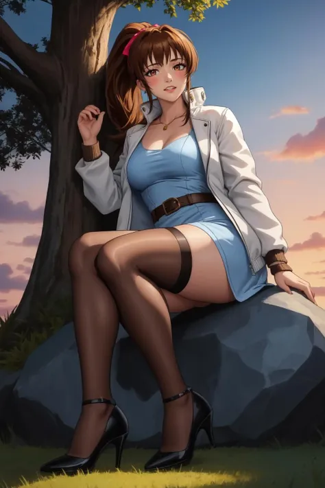 (masterpiece, high quality:1.2), intricate detailed,
MiyukiHara, teacher, mature female, 1girl, sitting on rock, full body,
looking at viewer, blush, teeth, determined,
brown hair, long hair, ponytail, brown eyes,
white jacket, (blue short dress:1.2), belt, (brown thighhighs:1.1), black high heels,
large breasts, thighs, curvy,
park, grass, tree, sunrise,
<lora:MiyukiHara:0.9>