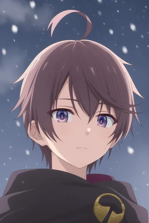 leonis death magnus, 1boy, male focus, solo, brown hair, purple eyes, ahoge, beautiful detailed face, beautiful detailed eyes, outdoors, night, star, snowing, upper body,