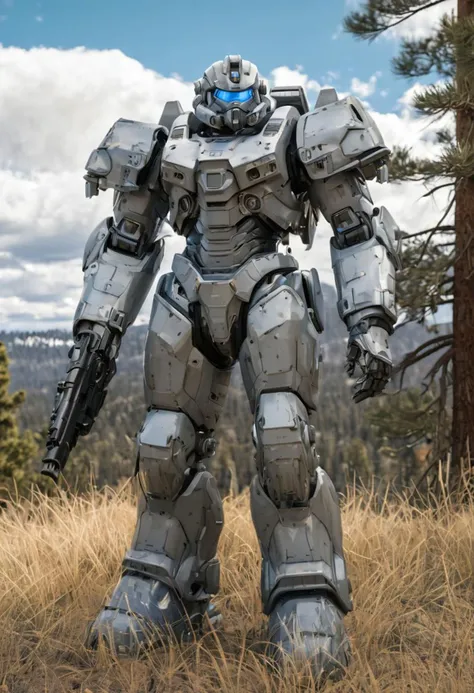 masterpiece, absurd resolution, 8k, power armor, ((best quality)),((masterpiece)),((highres)),((detailed)), original, full body, 1boy, caucasian, blond hair, blue eyes, mecha, power armor, armor, heavy armor, solo, standing, sky, cloud, armor, pine trees, dry grass, science fiction, realistic, military, detailed, (Desert Camouflage paint job),