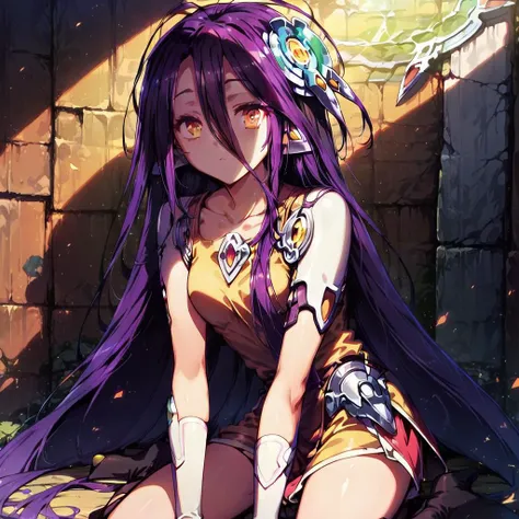 score_9, score_8_up, score_7_up, 1girl, shuvi, no game no life, highly detailed, masterpiece, best quality,  <lora:shuva-no-game-ponyXL-000009:1>, detailed eyes, aged down,  shade, wariza,