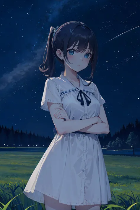 (masterpiece,best quality:1.2), 1girl,white shirt dress,cowboy shot,starry sky,grass field,NIGHT,<lyco:night-r:0.7>,