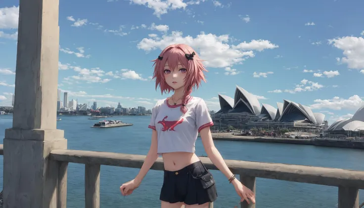 (aesthetic:0), (quality:0), (1girl:0), (boy:0), [[shirt]], [[midriff]], [[braid]], [astolfo], [[[[sydney opera house]]]]