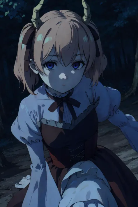 1girl,best quality,high quality,linie,dress,<lora:Linie:1>,high_angle,night,forest,looking at viewer