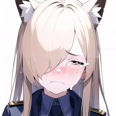 <lora:teary:0.7><lyco:kanna1-000007:1.0>masterpiece, best quality, solo, kannadef, blonde long hair, hair over one eyes, animal ears, closed eyes, upper body, face portrait, (tears:1.1), frown, white simple background