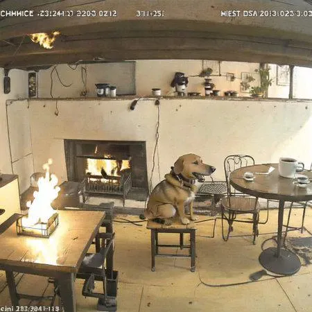 <lora:itsfine:0.7>, itsfine,
<lora:webcams:1.4>, (webcamscrenshot, :1.3)
itsfine, a dog sitting in a chair in front of a fire, cup of coffee on table, heavy fire on the background, meme in distress