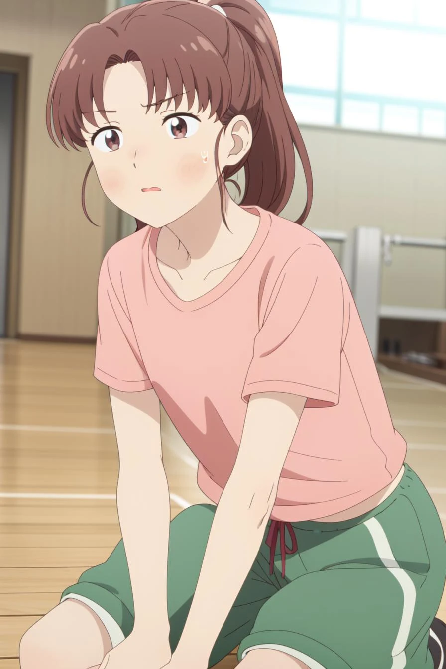 masterpiece, best quality, high quality, highres, high res, absurdres, ultra-detailed, best anatomy, detailed eyes, perfect eyes,
Crouching with both hands on the ground,
mika_egashira, long hair, parted bangs, brown eyes, 1girl, solo, brown hair, shirt, collarbone, ponytail, short sleeves, pink shirt, sportswear, short track pants,
<lora:Mika_EgashiraV1:0.85>