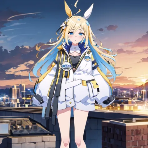high quality, best quality, masterpiece, absurdres, neo universe, shobofuku, 1girl,  <lora:neo-000002:0.85>, solo, rooftop, sunset