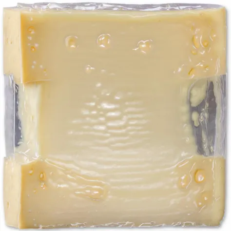a photo of <lora:Shrink_Wrap_SDXL_V1:1> shrink wrap chunk of swiss cheese