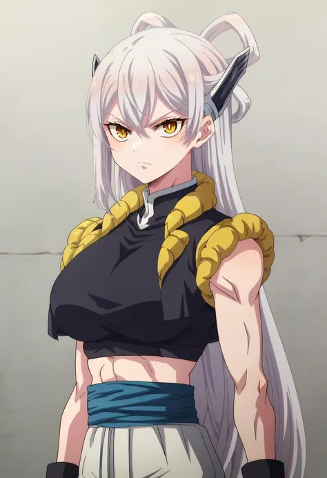 <lora:Metamoran_Vest_XL_Pony_Edition:1>metamoran vest, white pants, blue belt, black shoes, black wristbands, black sports bra, crop top, cowboy shot,  looking at viewer, upper body  <lora:Kyouka Uzen:0.6> kyouka uzen, long_hair, 1girl, solo, white_hair, hair_between_eyes, large_breasts,   <lora:Himari Azuma:0.6> himari azuma, long_hair, yellow_eyes, 1girl, solo, hair_rings, bangs, headgear, score_9, score_8_up, score_7_up, score_6_up, score_5_up, score_4_up , anime coloring ,BREAK source_anime, anime