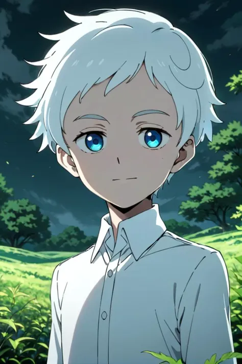 <lora:neverland_norman-000022:0.6>
one *************** named neverland_norman, standing alone in outdoors next to green open plains, he has blue colored eyes, he has white hair and he is wearing a white collared shirt,
draw it in the style of The promised Neverland,
The soft lighting and detailed surroundings create an immersive environment where imagination runs wild hyper-detailed,
hyper-detailed face, high quality visuals, dim Lighting, sharply focused, octane render, 8k UHD