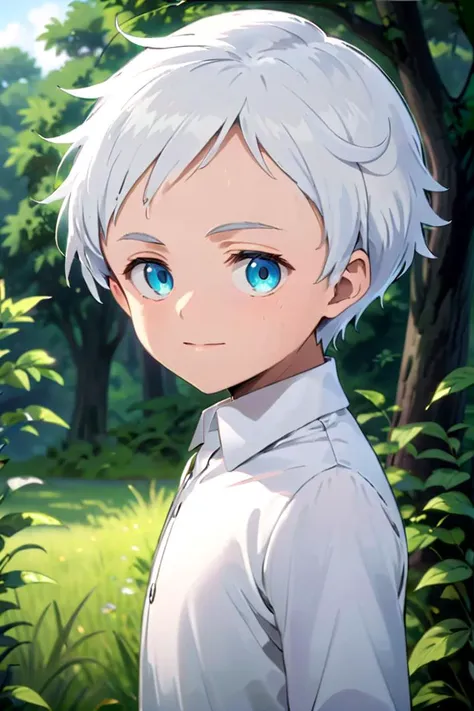 <lora:neverland_norman-000022:0.6>
one *************** named neverland_norman, standing alone in outdoors next to green open plains, he has blue colored eyes, he has white hair and he is wearing a white collared shirt,
draw it in the style of The promised Neverland,
The soft lighting and detailed surroundings create an immersive environment where imagination runs wild hyper-detailed,
hyper-detailed face, high quality visuals, dim Lighting, sharply focused, octane render, 8k UHD