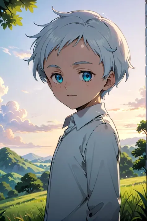 <lora:neverland_norman-000022:0.6>
one 12-year-old boy named neverland_norman, standing alone in outdoors next to green open plains, he has blue colored eyes, he has white hair and he is wearing a white collared shirt,
draw it in the style of The promised Neverland,
The soft lighting and detailed surroundings create an immersive environment where imagination runs wild hyper-detailed,
hyper-detailed face, high quality visuals, dim Lighting, sharply focused, octane render, 8k UHD