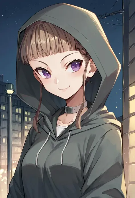 score_9, score_8_up, score_7_up, score_6_up, score_5_up, score_4_up, source_anime,  Manaka Nemu, short hair, braided hair, brown hair, violet eyes, hoodie, hood, city, night, smile  <lora:NemuPonyXL-000058:1>