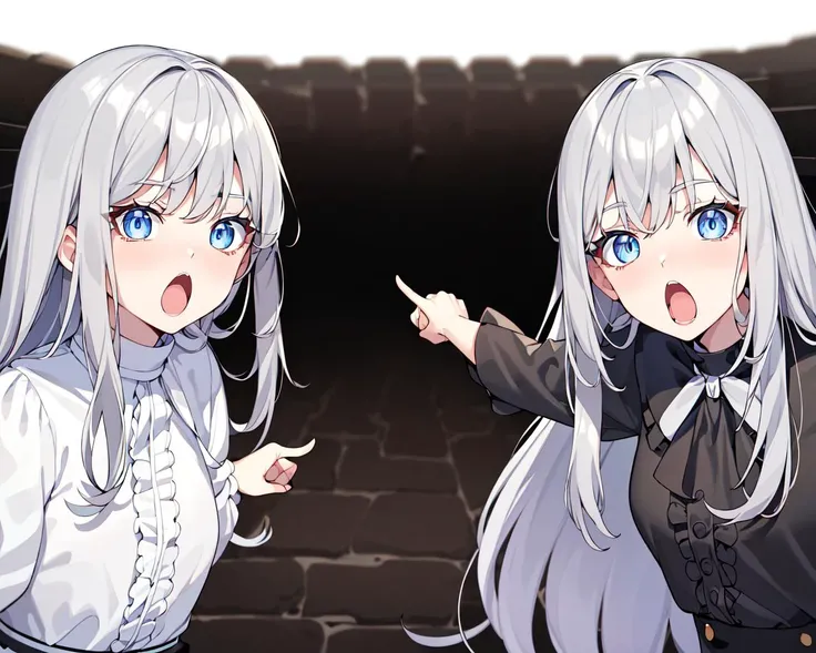 (best quality, masterpiece), soyjaks, (2girl, duo,open mouth, :o, pointing, long hair, gray hair, *//*, blue eye, *//*, white blouse, looking at viewer,), (white background) <lora:meme-10:1>