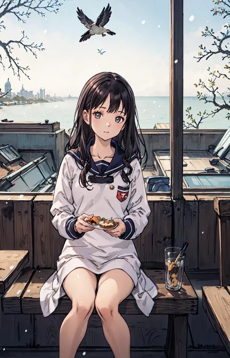 best quality, detailed background, girl,sea, cafeteria, bird, snow, winter, <lora:shadowverseFlame_hahajimafuwariV3:0.3>