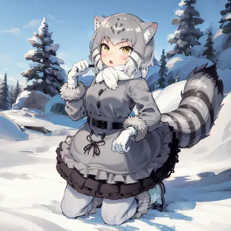 (masterpiece, best quality, high resolution, distinct image), cinematic lights, 1girl, solo, <lora:manul:0.7>, tail, grey hair, multicolored hair, cat_tail, cat ears, yellow eyes, striped tail, short hair, scarf, fur trim, grey skirt, white footwear, white gloves, frilled skirt, grey pantyhose, multicolored clothes, grey jacket, long sleeves, fur collar, fur-trimmed boots, buckle, belt buckle, white hair, elbow gloves, two-tone hair, white scarf, fur-trimmed sleeves, forest, snow, cowboy shot,