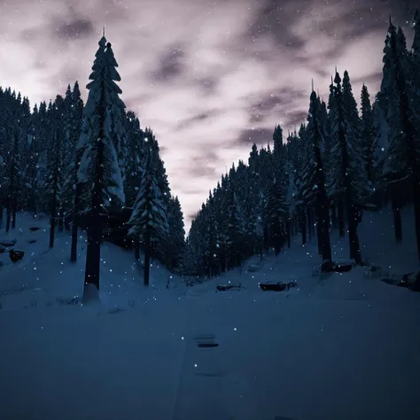 <lora:TheLongDark_light:0.7> the_long_dark, winter, outside, night, forest