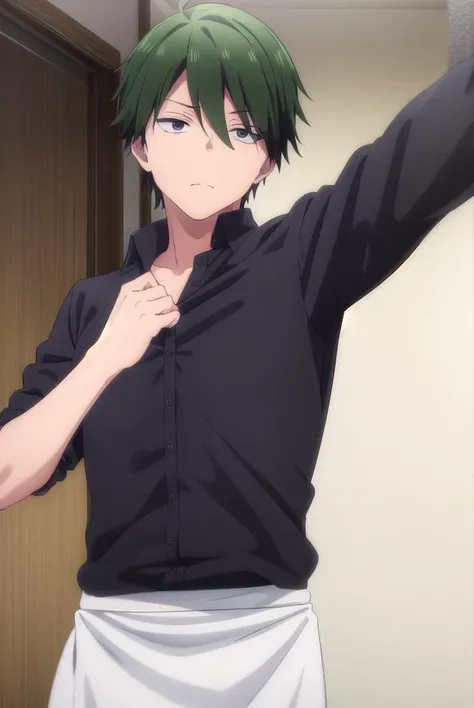 kouyouakizuki, <lora:kouyou akizuki s1-lora-nochekaiser:1>,
kouyou akizuki, ahoge, male focus, green hair, (black eyes:1.5),
BREAK shirt, apron, waist apron, waiter, shirt, white shirt, collared shirt,
BREAK indoors, restaurant,
BREAK looking at viewer, (cowboy shot:1.5),
BREAK <lyco:GoodHands-beta2:1>, (masterpiece:1.2), best quality, high resolution, unity 8k wallpaper, (illustration:0.8), (beautiful detailed eyes:1.6), extremely detailed face, perfect lighting, extremely detailed CG, (perfect hands, perfect anatomy),