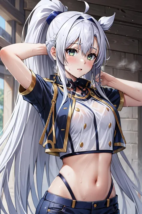 (masterpiece, best quality), intricate details,
1girl, <lora:Sistine:0.8> pikkysistine, 1girl,
midriff, navel, sweating, sweat on midriff,
<lora:mega_ponytail-1.0r4:0.8> mega ponytail, big hair, long hair, very long hair