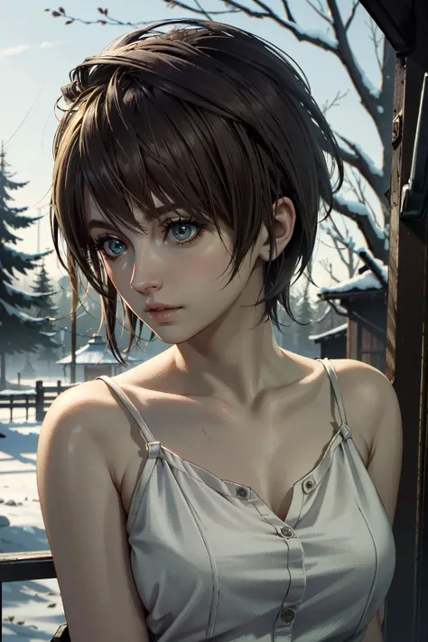 ((ultra detailed, masterpiece, best quality))
<lora:RE7Zoe:0.8>
RE7Zoe, 1girl, solo, short hair, brown hair, in a winter wonderland