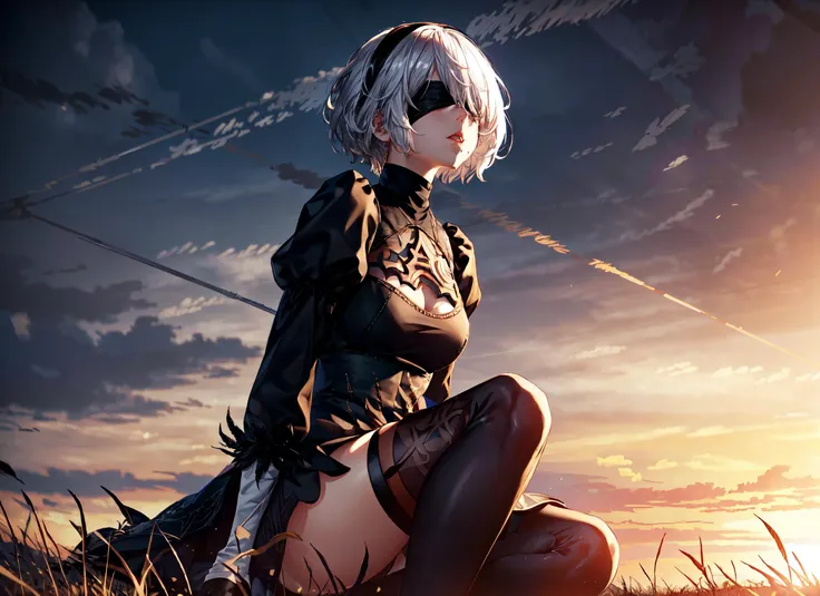 1girl,white hair,short hair,hm2b, black blindfold, covered eyes, mole under mouth, clothing cutout, long sleeves, puffy sleeves, juliet sleeves, feather trim, black thighhighs, black gloves, black dress, (black skirt),sit,sitting on grass,arms on knees,sunset,from side,masterpiece,extremely detailed CG unity 8k wallpaper, best quality,32k,focus sharp,<lora:y2b_v2-1:1>, <lora:add_detail:1>, <lora:Light and Shadow:1>