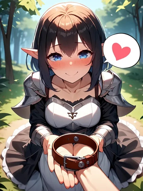 1girl, (collar on her palms, grab collar), collar, (holding collar),
(pov),
elf,wearing armor, (from above:1.2),
dress, (spoken heart:1.5),
smile, (happy), kind, blush, collarbone,
looking at viewer,
kneeling, in forest
<lora:collar4u-v2:1>, masterpiece, best quality, very aesthetic, absurdres, latest