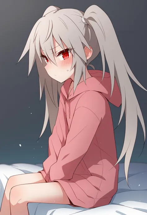 score_9, score_8_up, score_7_up BREAK
source_anime, rating_safe, from side, looking at viewer, sitting, lotus position, solo, blush, shy, 1girl, eletrasan, grey hair, long hair, red eyes, twintails, hoodie <lora:elena_trafalgarPXL3_epoch_4:1>