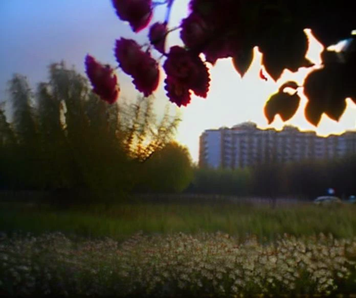 moskva_xxi, sunrise, city street, tree, flower, old_siemens, foreground, background, overexposure, film grain
<lora:moskva_xxi:1>
<lora:old_siemens, foreground, background, overexposure, film grain:0.9>