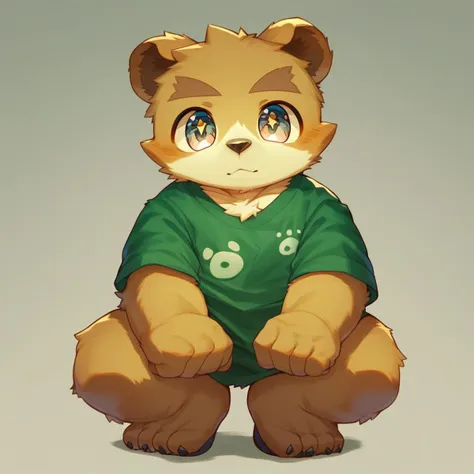 score_9, score_8_up, male, solo, full body, digital art, highly detailed, bear, green shirt, big eyes, large pupil, look at viewer, furry, kemono, cute, anthro