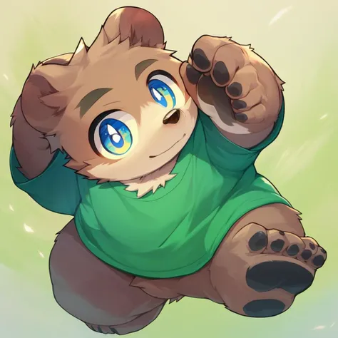 score_9, score_8_up, male, solo, full body, digital art, highly detailed, bear, green shirt, big eyes, large pupil, look at viewer, furry, kemono, cute, anthro