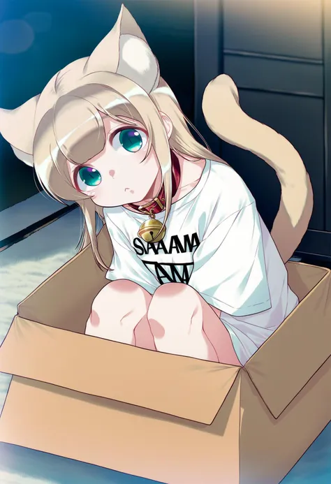 by 40hara, score_9, best quality, masterpiece, uncensored, source_anime
BREAK
shy, 1girl, solo, kinako \(40hara\), cat girl, cat tail, cat ears, solo, text on shirt, oversized shirt, white shirt, collar, sitting, blonde hair, topwear, looking at viewer, teal eyes, inside the box, cardboard box, inner ear fluff, clothed, green eyes