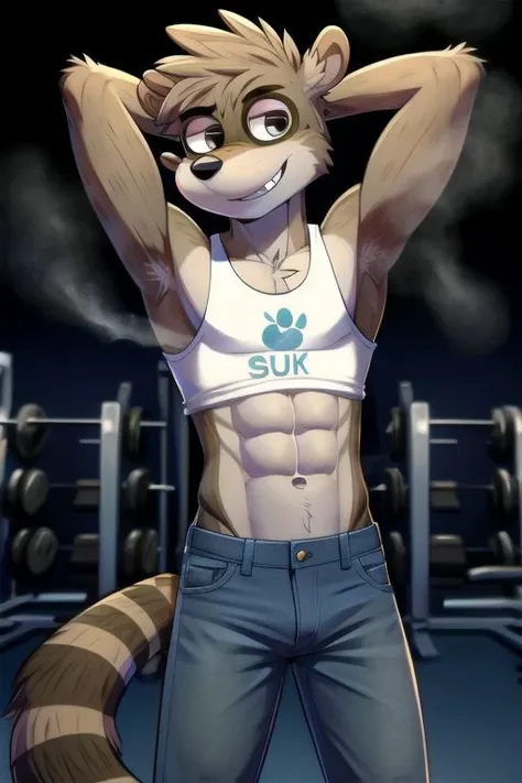 rigby, furry male, solo, raccoon boy, (best quality), pecsm (detailed skinny body,:1.6) looking at viewer, snout, smile, Arms behind head, armpits, (aged down), (musk), (musk clouds:1.3), rainbow tank top, (tight blue jeans), (abs), (gym background:1.2), grin, cinematic lighting, <lora:rigby-v1B:1>
