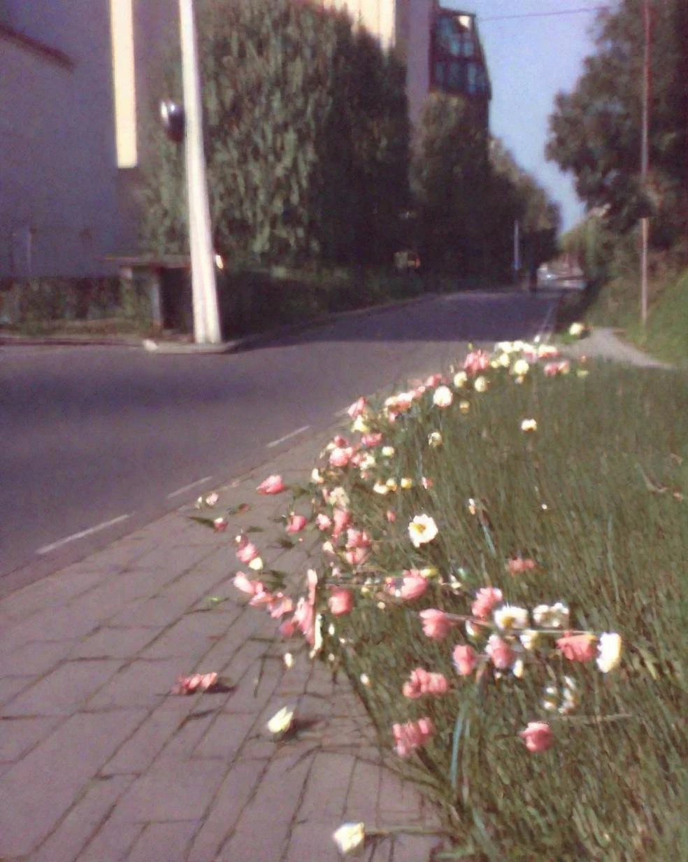 Old Digital Photo (SDXL)