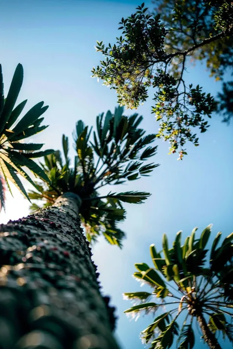 tree, sky, blurry, branch, day, depth of field, blue sky, from below, blurry foreground, cloud, leaf
<lora:nature:0.8>