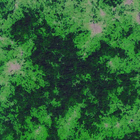 MapSatimageEU, forest