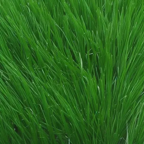 <lyco:grass_texture_Sa_May:1.0> grass texture dark green