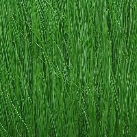 <lyco:grass_texture_Sa_May:1.0> grass texture dark green