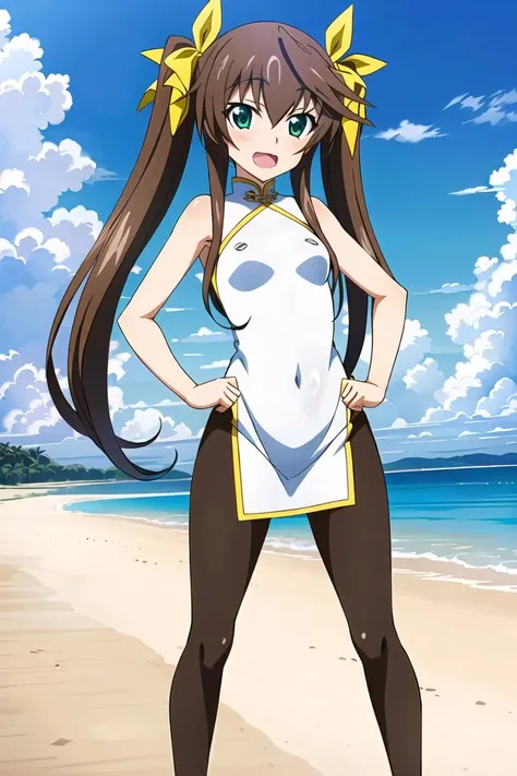 Beach background, high resolution, 4K, masterpiece, high-quality, artistic, 19-year-old, (Siamese cat), female, (full body: 1.4, posture: 1.2), cat Furry, (blooming girl: 1.2), furry, (blushing: 1.3, long hair: 1:2), (quiet, gentle), (national beauty and heavenly fragrance, body size 1:5, slender ears: 1.3, cat tail: 1.3), (blue and white porcelain cheongsam 1:3, B-cover: 1.4), (black ears: 1.2, black brown face: 1.2, white back: 1.2), (black ears: 1.2, black brown face: 1.2, white back: 1.2) Brown arms: 1.4, white chest: 1.3, white belly: 1.4, heterochromatic pupils: 1.3, brown legs: 1.2, black hands: 1.3, black feet: 1.3), delicate eyes, attention to details, detailed subject, (detailed hands: 1.3)