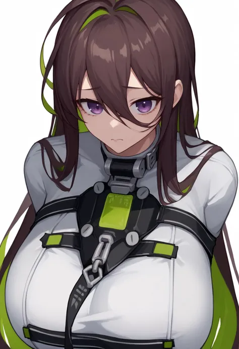 score_9, score_7_up, source_anime, simple background, white background, solo, 1girl, guilty, closed mouth, looking at viewer, standing, very long hair, brown hair, green hair, colored inner hair, multicolored hair, hair between eyes, purple eyes, white bodysuit, collar, straitjacket, huge breasts <lora:style_caststation_ponyXL-000030:1> <lora:guilty-nikke-richy-v1_pdxl:1>