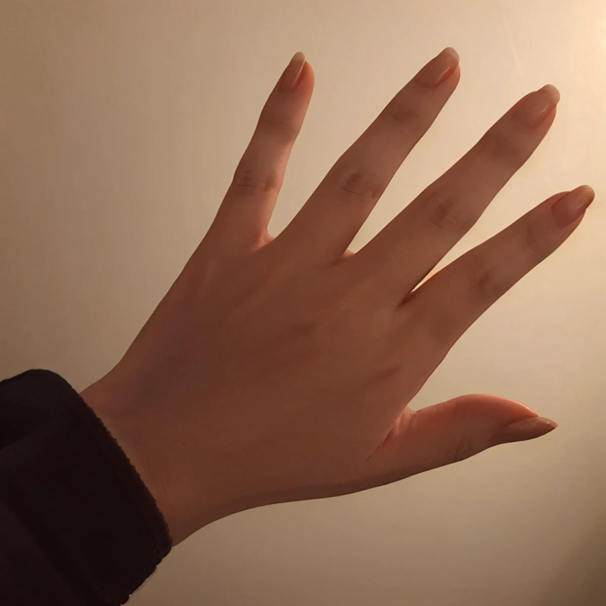 best quality, masterpiece,1hand,hand, realistic, photorealistic,dappled sunlight,studio lighting,,detailed fingers,folded fingers, hand101, <lora:handmix101:0.8>