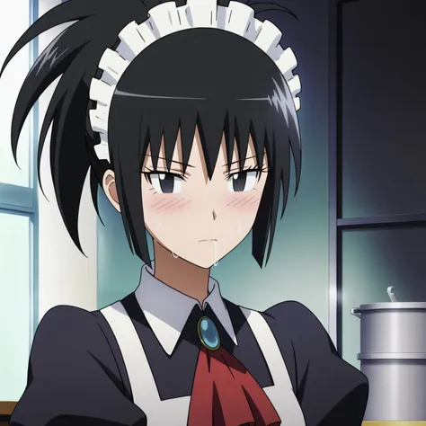 <lora:SayakaDejimaXLpony002>,
blush,sweat,(salivation:1.5),looking at viewer,close-up,
solo,
SayakaDejima,1girl,black hair,ponytail,black eyes,
maid_headdress,long_dress,red ascot,long_sleeves,apron,