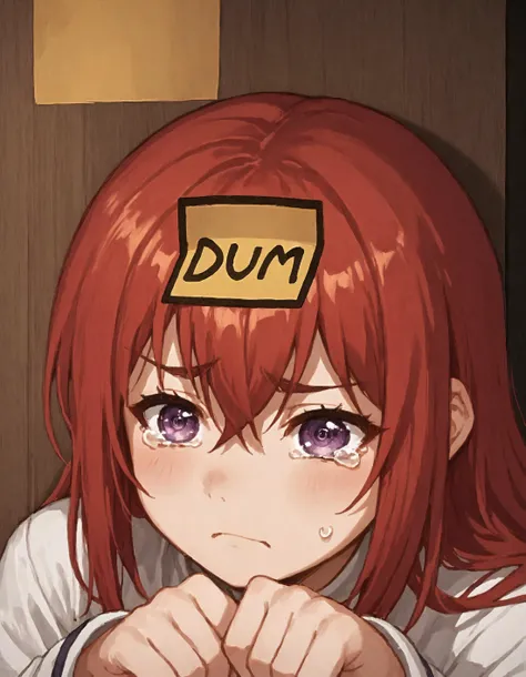 score_9, score_8_up, score_7_up, source_anime, sketch, 1girl, <lora:DumStickyNote_XLPD:1.2> dumstickyNote, sticker, <lora:makise kurisu-PonyXL:1> makise kurisu, purple eyes, red hair, long hair, between eyes, tearing up,