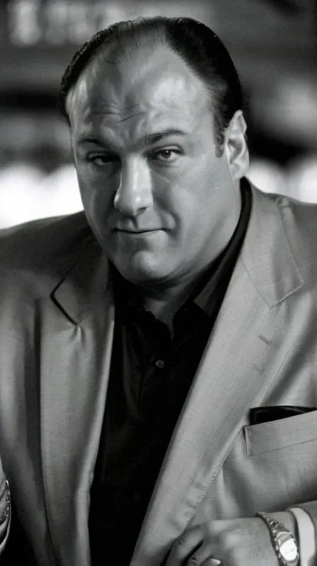 (best quality)+, (very fine detail)+, (best resolution)+, tony soprano in a suit, in a new york bar <lora:TonySoprano:1>