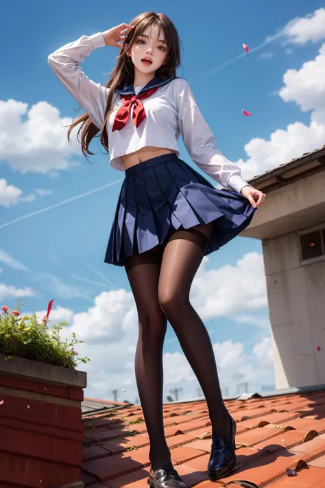 (best quality),((masterpiece)),(highres),illustration,original,extremely detailed,1girl,solo,pantyhose,long hair,solo,school uniform,skirt,black pantyhose,petals,hime cut,smile,open mouth,very long hair,<lora:add_detail:0.6>,zettai ryouiki,navel,full body,from below,rooftop,sky,black_loafers,<lora:MengX girl_Mix_V40:0.8>,black hair,