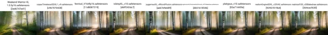 a dirt road surrounded by tall trees in the woods with fog in the air and a trail leading through the birch trees, Andor Basch, volumetric fog, tonalism, insane details, cinematic light, detailed, color grading, post processing, sunrise <lora:Instant_landscaper_XL:0.7>
