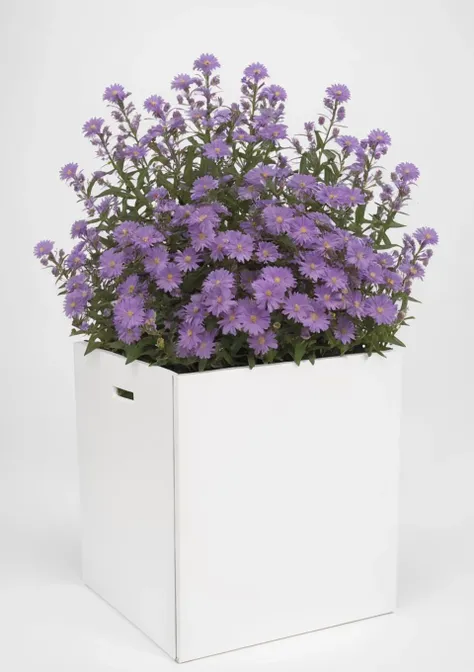 <lora:Purple Dom SDXL-000002:1>
flower, purple flower,  Bloom around the white box,symmetry, best quality, high quality, highres, masterpiece,