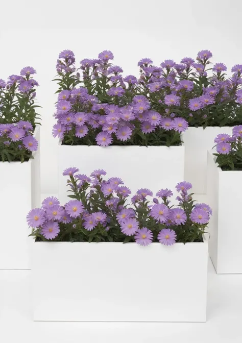 <lora:Purple Dom SDXL-000002:1>
flower, purple flower, Bloom around the white box,symmetry, best quality, high quality, highres, masterpiece,