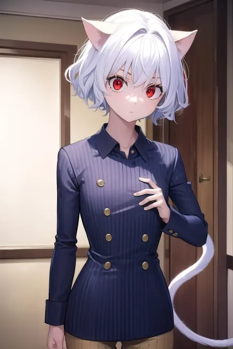 neferpitou, <lyco:neferpitou-lyco-nochekaiser:1>,
neferpitou, short hair, (red eyes:1.5), animal ears, hair between eyes, tail, white hair, cat ears, cat tail, cat girl, curly hair,
BREAK long sleeves, shorts, striped, buttons, brown shorts, shirt, collared shirt, blue shirt,
BREAK looking at viewer,
BREAK indoors, classroom, (cowboy shot:1.5),
BREAK <lyco:GoodHands-beta2:1>, (masterpiece:1.2), best quality, high resolution, unity 8k wallpaper, (illustration:0.8), (beautiful detailed eyes:1.6), extremely detailed face, perfect lighting, extremely detailed CG, (perfect hands, perfect anatomy),