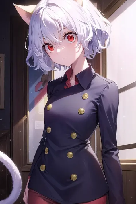 neferpitou, <lyco:neferpitou-lyco-nochekaiser:1>,
neferpitou, short hair, (red eyes:1.5), animal ears, hair between eyes, tail, white hair, cat ears, cat tail, cat girl, curly hair,
BREAK long sleeves, shorts, striped, buttons, brown shorts, shirt, collared shirt, blue shirt,
BREAK looking at viewer,
BREAK indoors, classroom, (cowboy shot:1.5),
BREAK <lyco:GoodHands-beta2:1>, (masterpiece:1.2), best quality, high resolution, unity 8k wallpaper, (illustration:0.8), (beautiful detailed eyes:1.6), extremely detailed face, perfect lighting, extremely detailed CG, (perfect hands, perfect anatomy),